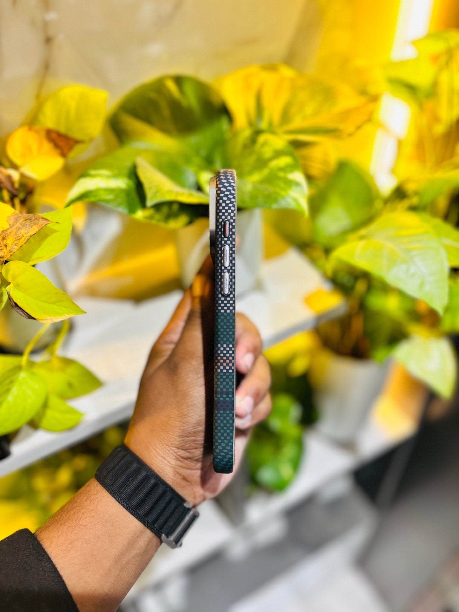 Luxo Forest Grind - Online lifestyle - Luxo Forest Grind